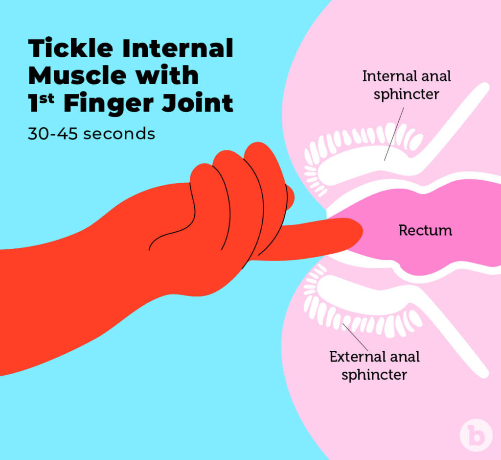 Anal Fingering Visual Tutorial Guide On How To Finger Your Ass