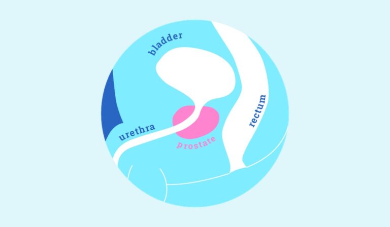 Prostate Play: How to Have a Prostate Orgasm