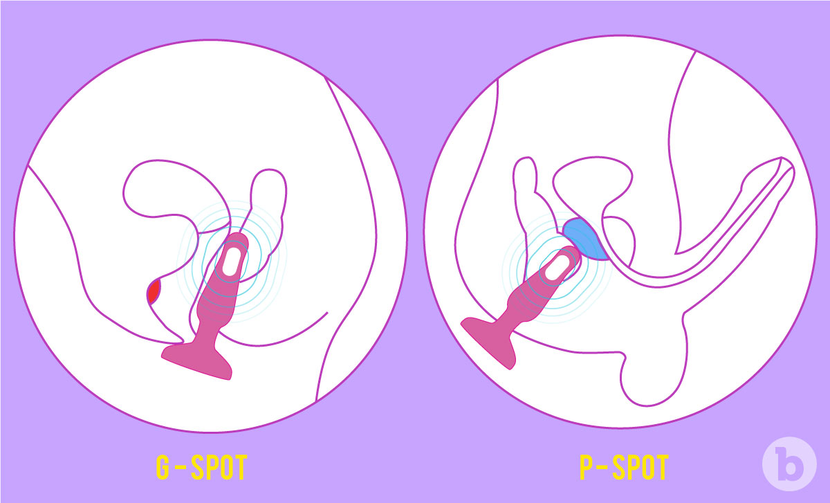 What does a butt plug do during sex